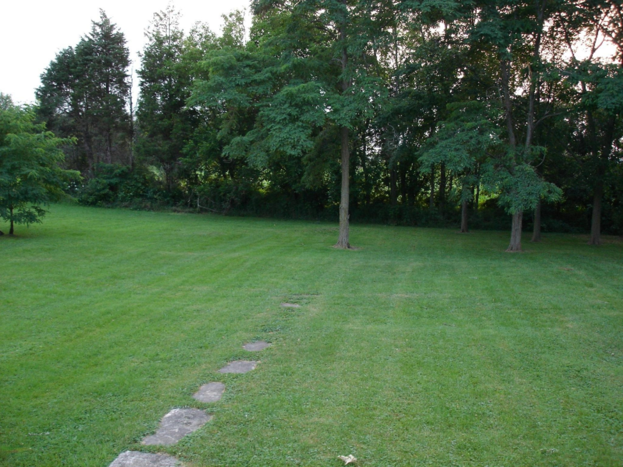 16610 Three Oaks Road Three Oaks, MI 49128 - Photo 26 of 27 23