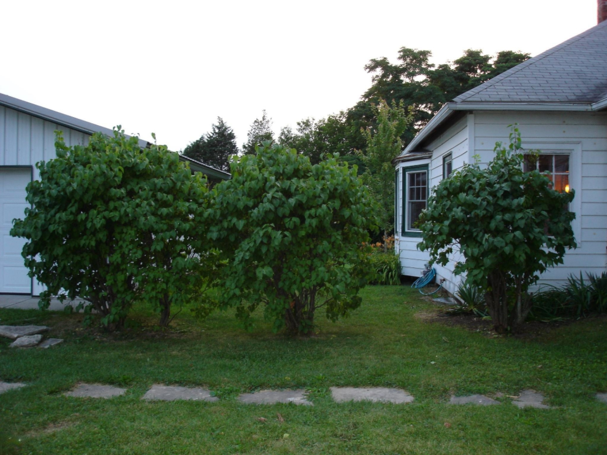 16610 Three Oaks Road Three Oaks, MI 49128 - Photo 27 of 27 24