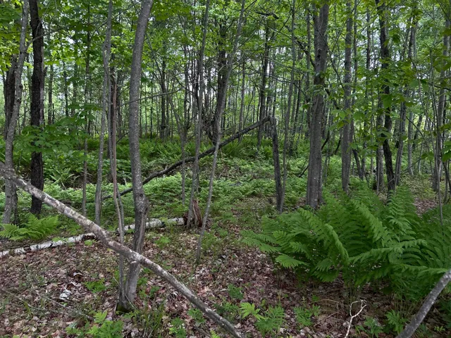 $1,295,000 | M18-l13 Mercer Road, Norridgewock, ME 04957