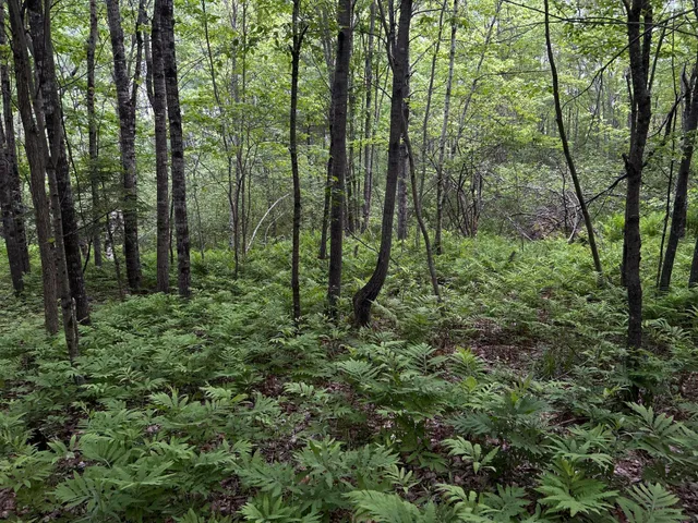 $1,295,000 | M18-l13 Mercer Road, Norridgewock, ME 04957