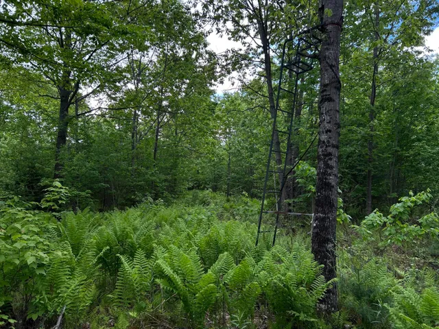 $1,295,000 | M18-l13 Mercer Road, Norridgewock, ME 04957