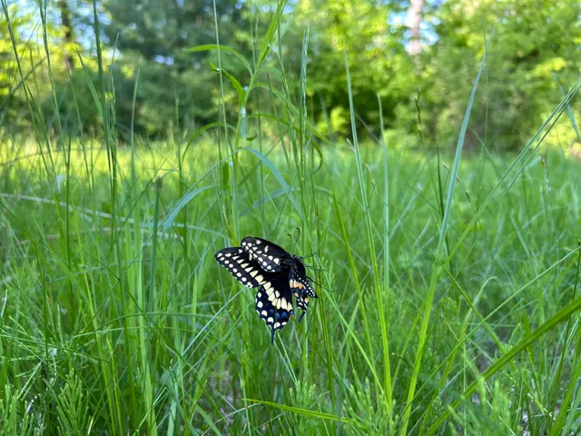 $1,295,000 | M18-l13 Mercer Road, Norridgewock, ME 04957