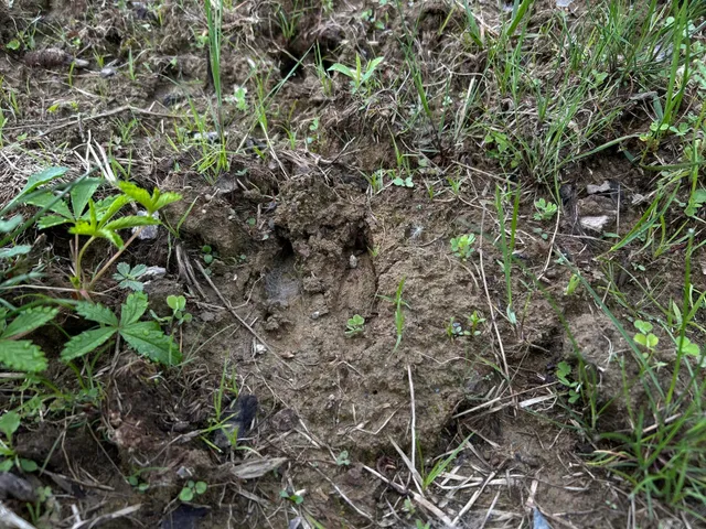 $1,295,000 | M18-l13 Mercer Road, Norridgewock, ME 04957