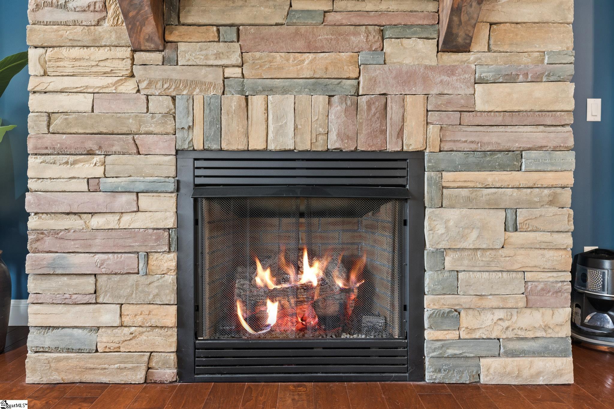 217 Aqua Cove Court Inman, SC 29349 - Photo 7 of 41