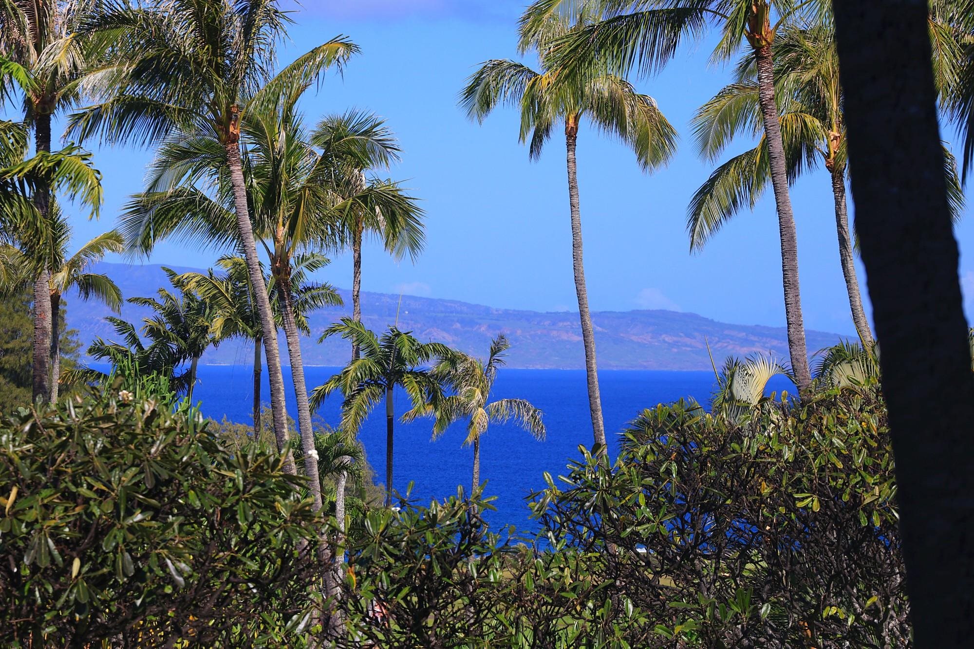 1 Ritz Carlton Drive, Unit 1502 Lahaina, HI 96761 - Photo 27 of 47 a view of a palm trees