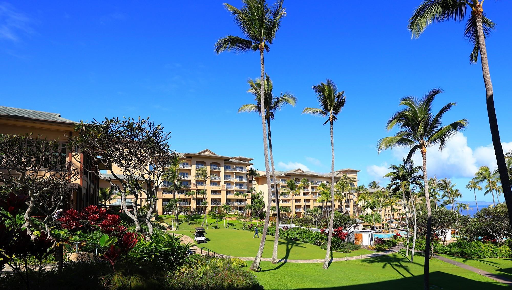 1 Ritz Carlton Drive, Unit 1502 Lahaina, HI 96761 - Photo 32 of 47 a view of a flower in a garden