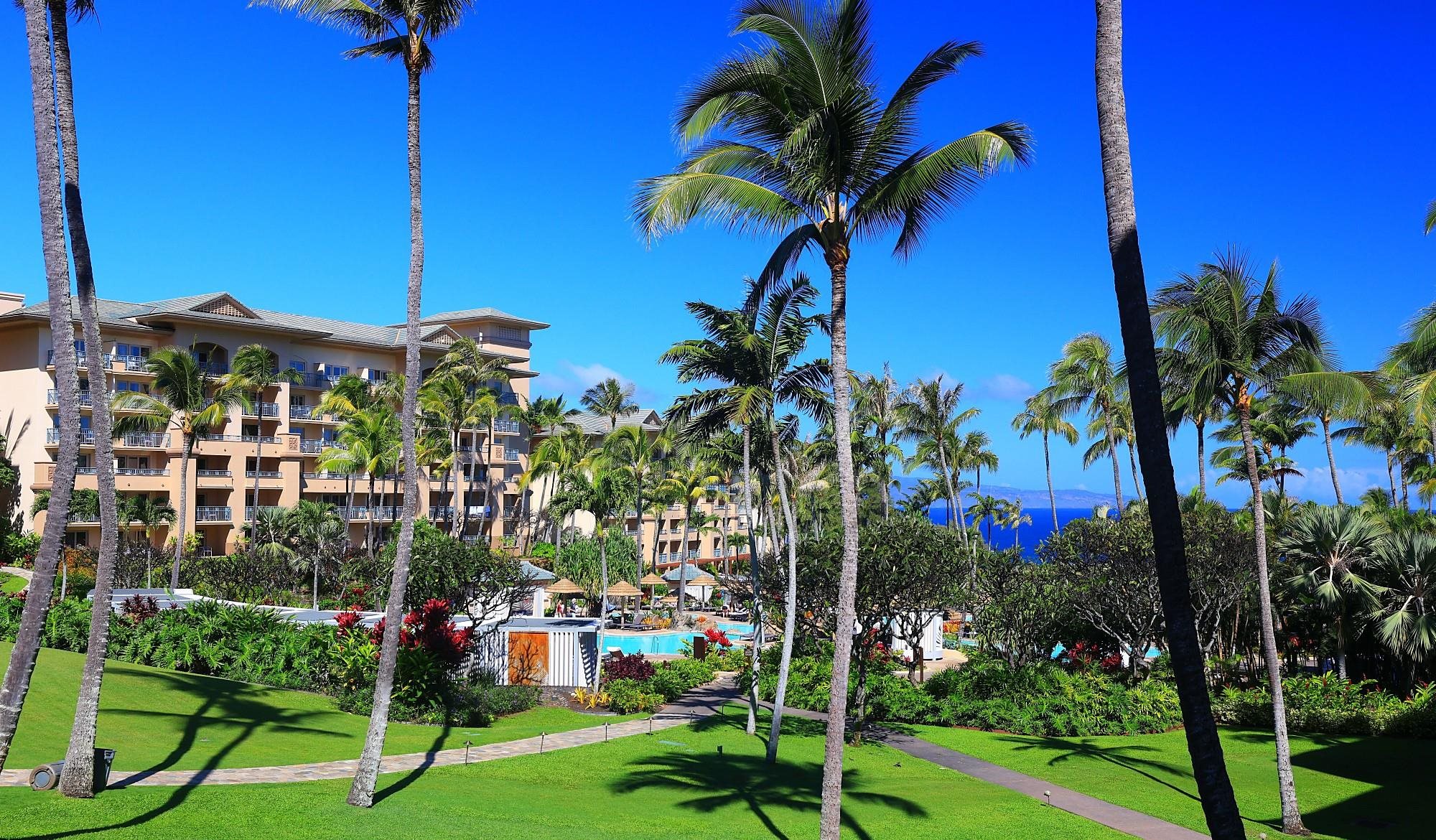 1 Ritz Carlton Drive, Unit 1502 Lahaina, HI 96761 - Photo 33 of 47 a view of a park with a palm tree