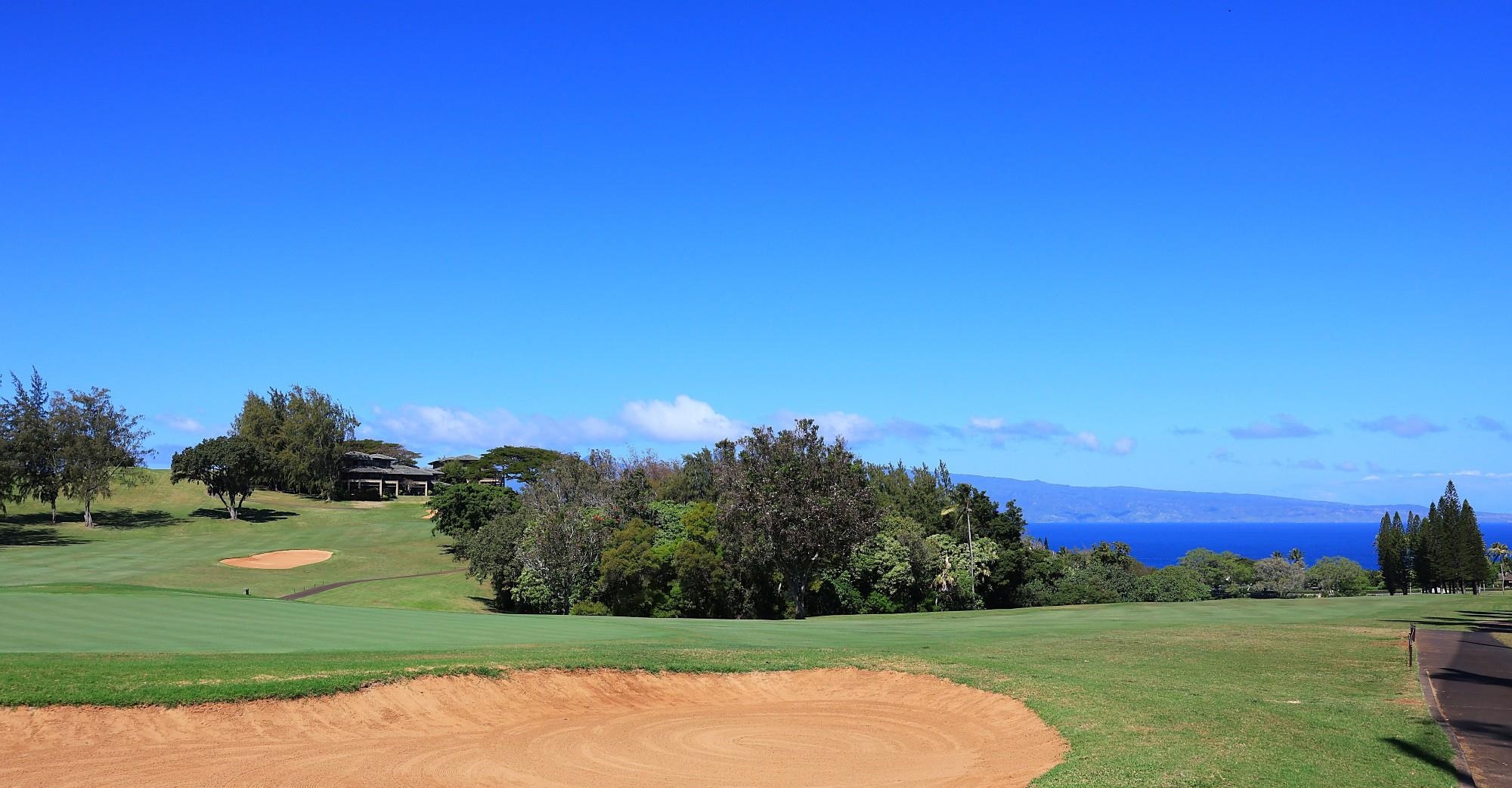 1 Ritz Carlton Drive, Unit 1502 Lahaina, HI 96761 - Photo 41 of 47 a view of a grassy area with an trees