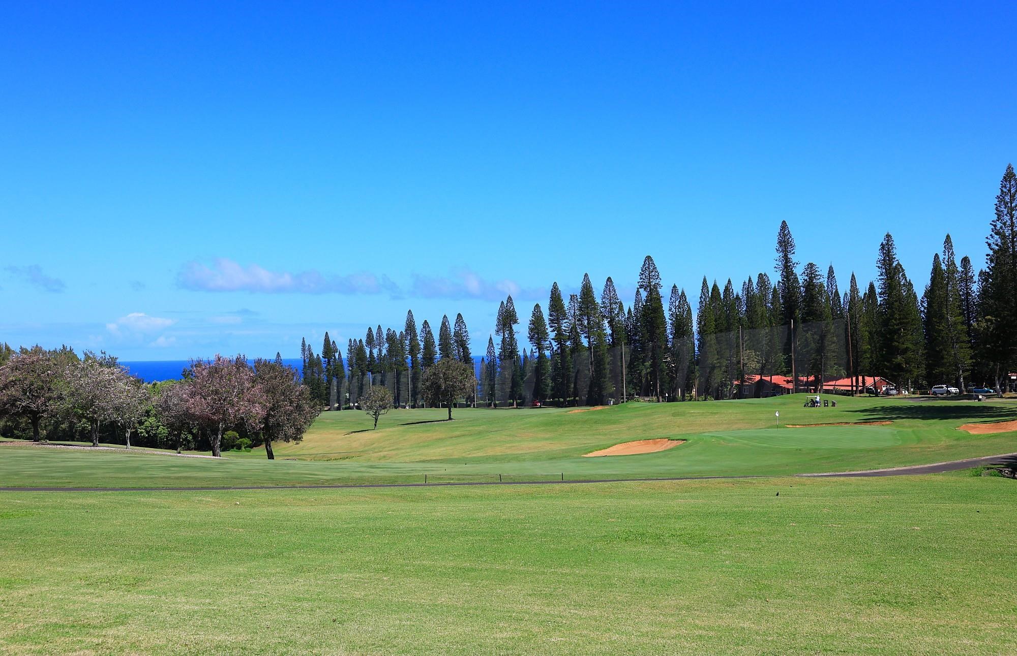 1 Ritz Carlton Drive, Unit 1502 Lahaina, HI 96761 - Photo 43 of 47 a view of a golf course