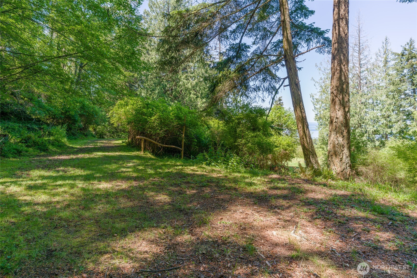 463 Wright Road Orcas Island, WA 98245 - Photo 18 of 40 a view of a yard with a tree