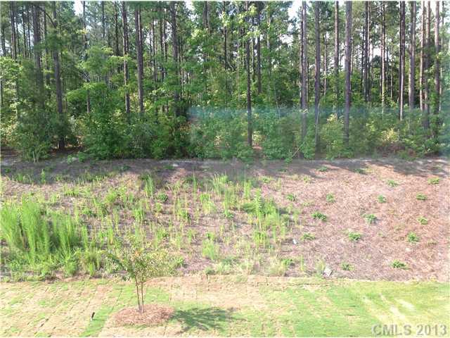 78054 Rillstone Drive Lancaster, SC 29720 - Photo 11 of 11 a view of a lake view
