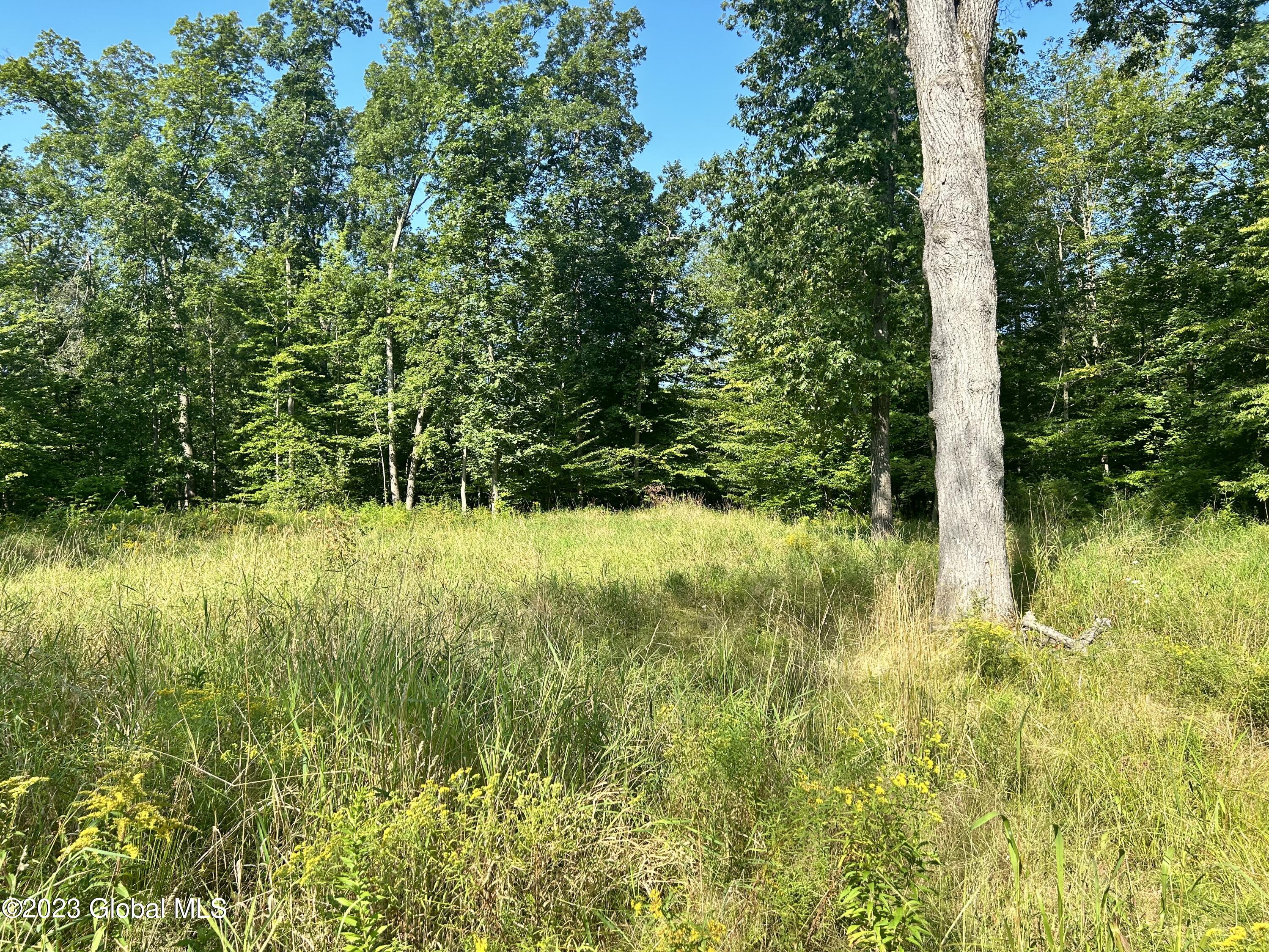 137 Washington County Rte 46