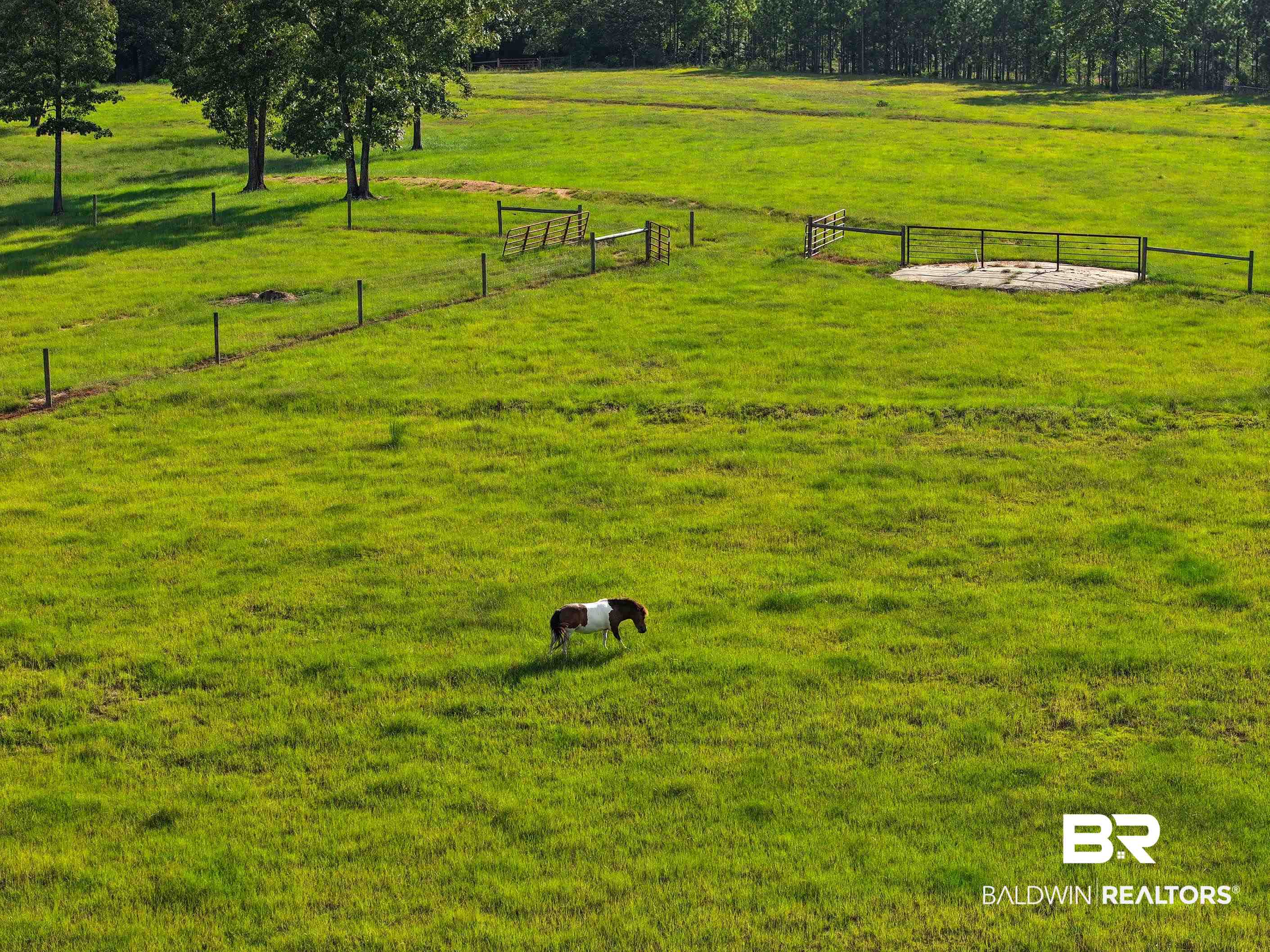 3619 Ridge Road Brewton, AL 36426 - Photo 4 of 5 Surrounding community featuring a rural view