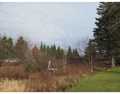 220 Lake Shore Road St. David, ME 04773 - Photo 5 of 7 Exterior Front. From the waterfront...
