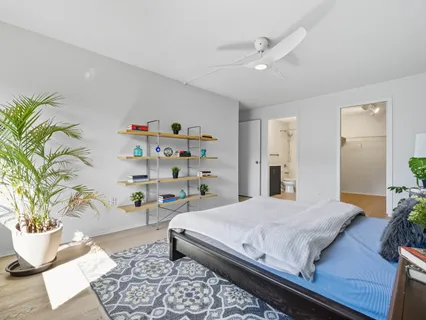 a bedroom with a large bed and a potted plant