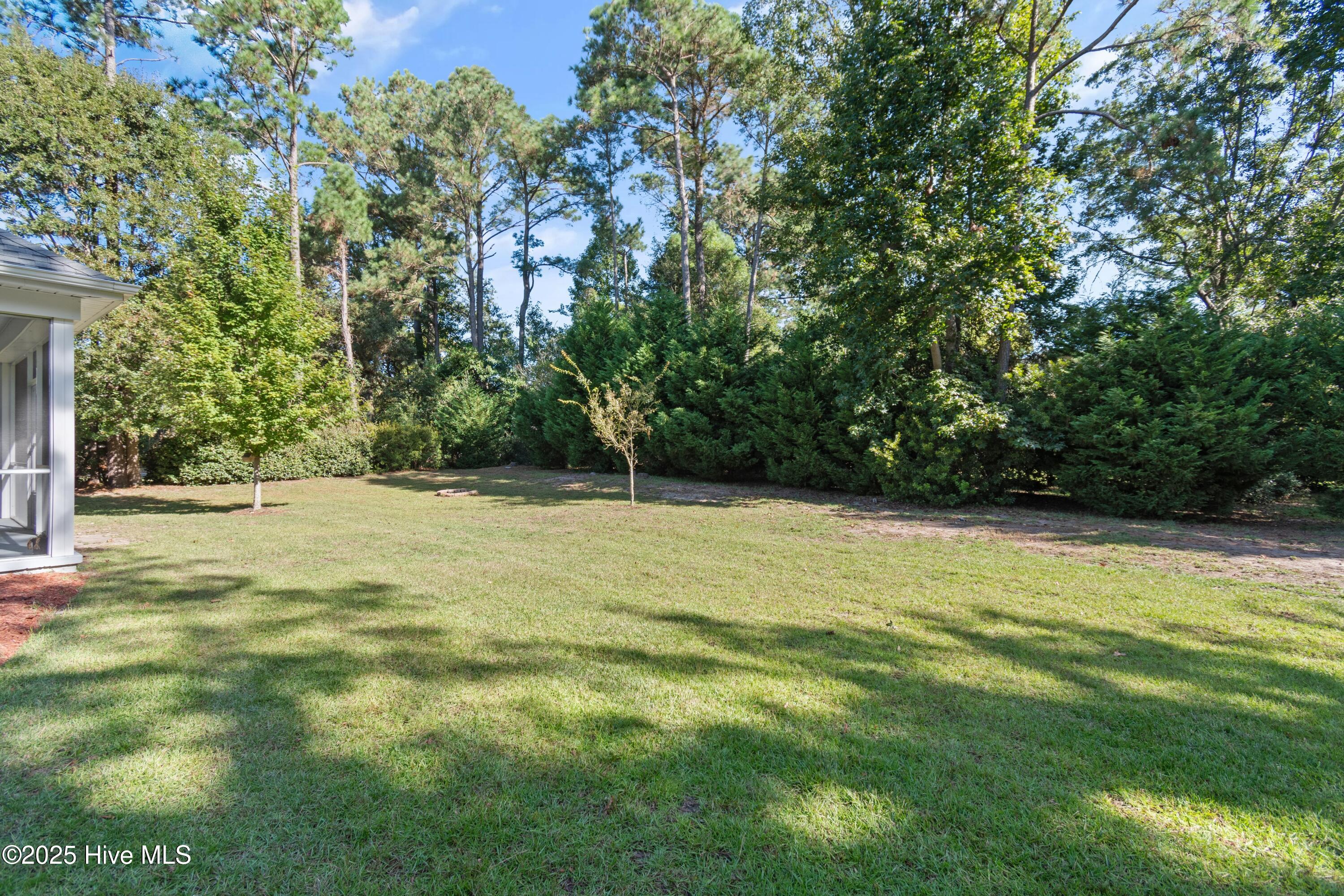 557 Button Bush Lane Hampstead, NC 28443 - Photo 40 of 52 557ButtonBushLn - 45