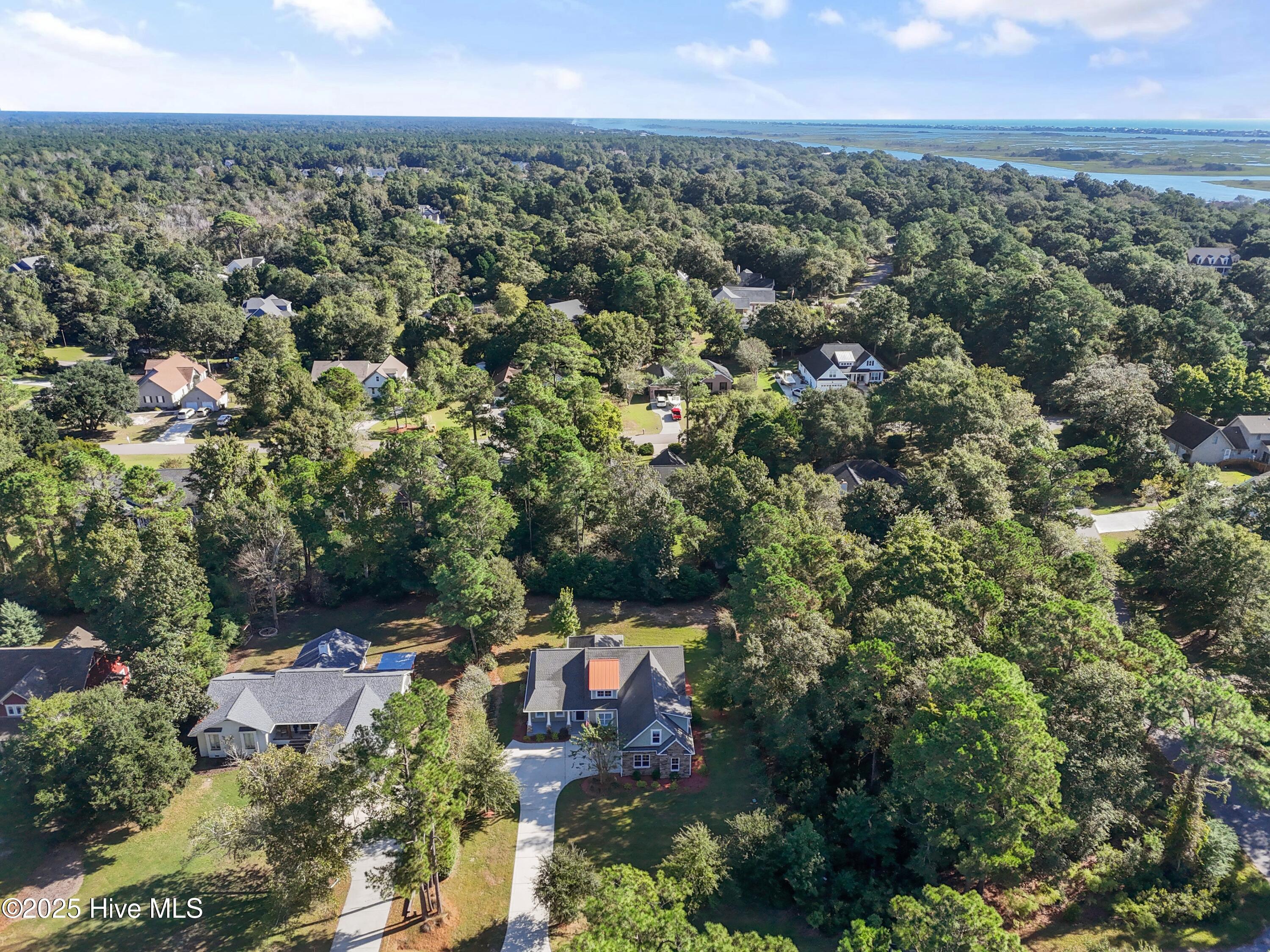 557 Button Bush Lane Hampstead, NC 28443 - Photo 47 of 52 557ButtonBushLn - 52