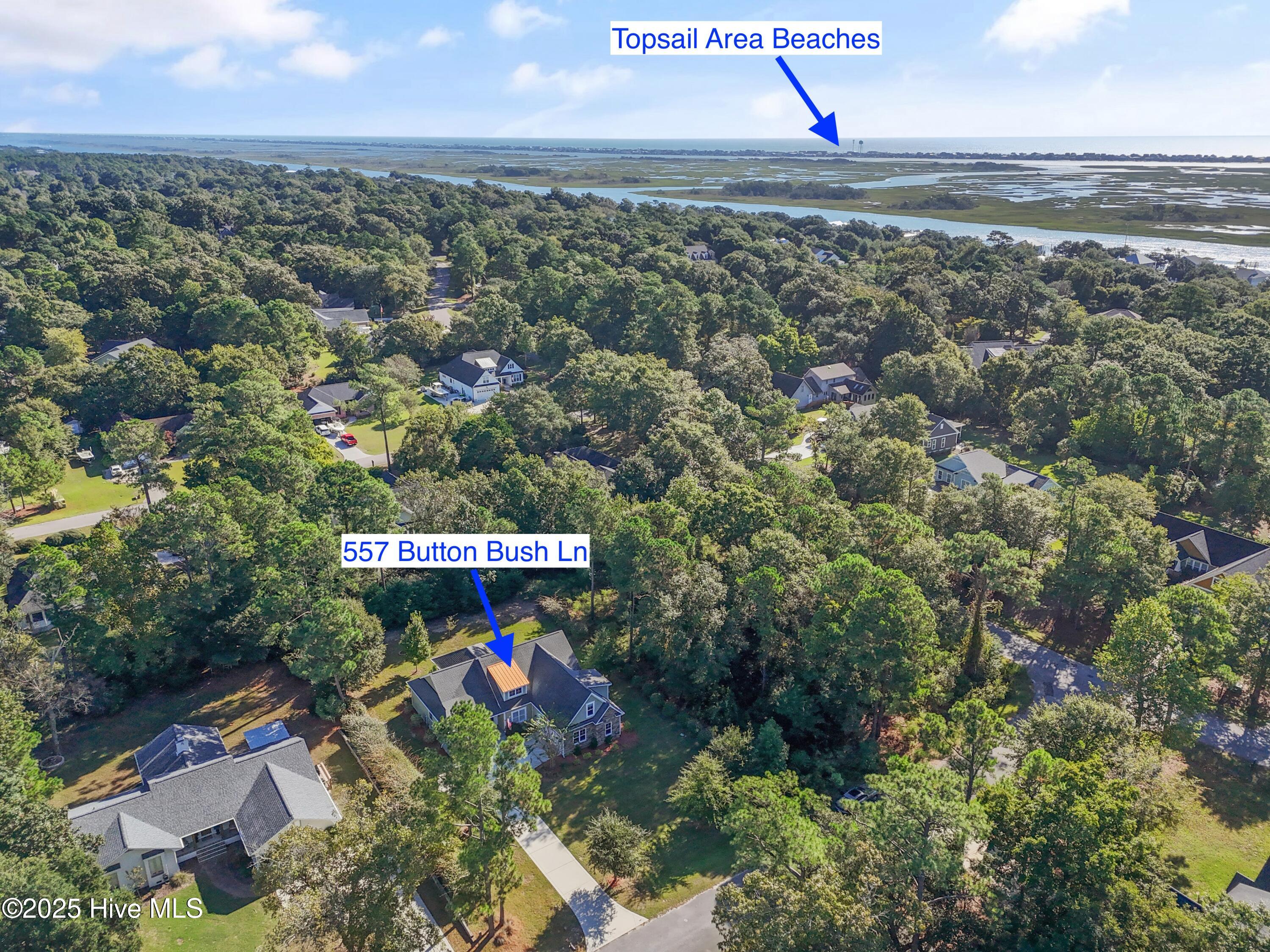 557 Button Bush Lane Hampstead, NC 28443 - Photo 48 of 52 557ButtonBushLn - 53