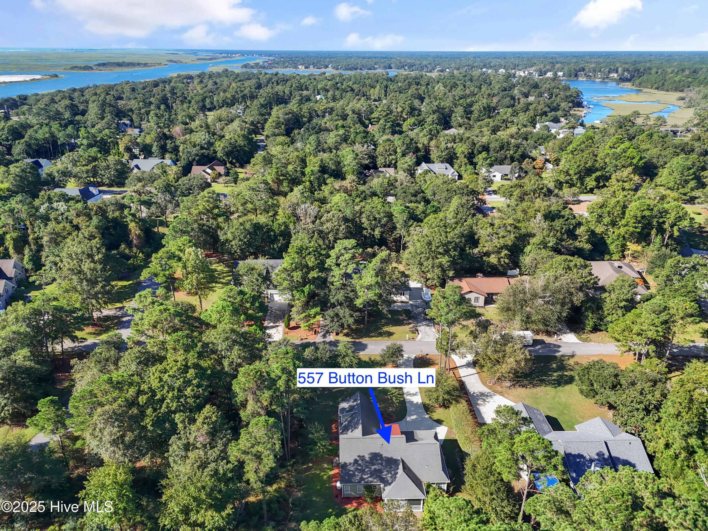 557 Button Bush Lane Hampstead, NC 28443 - Photo 52 of 52 557ButtonBushLn - 64