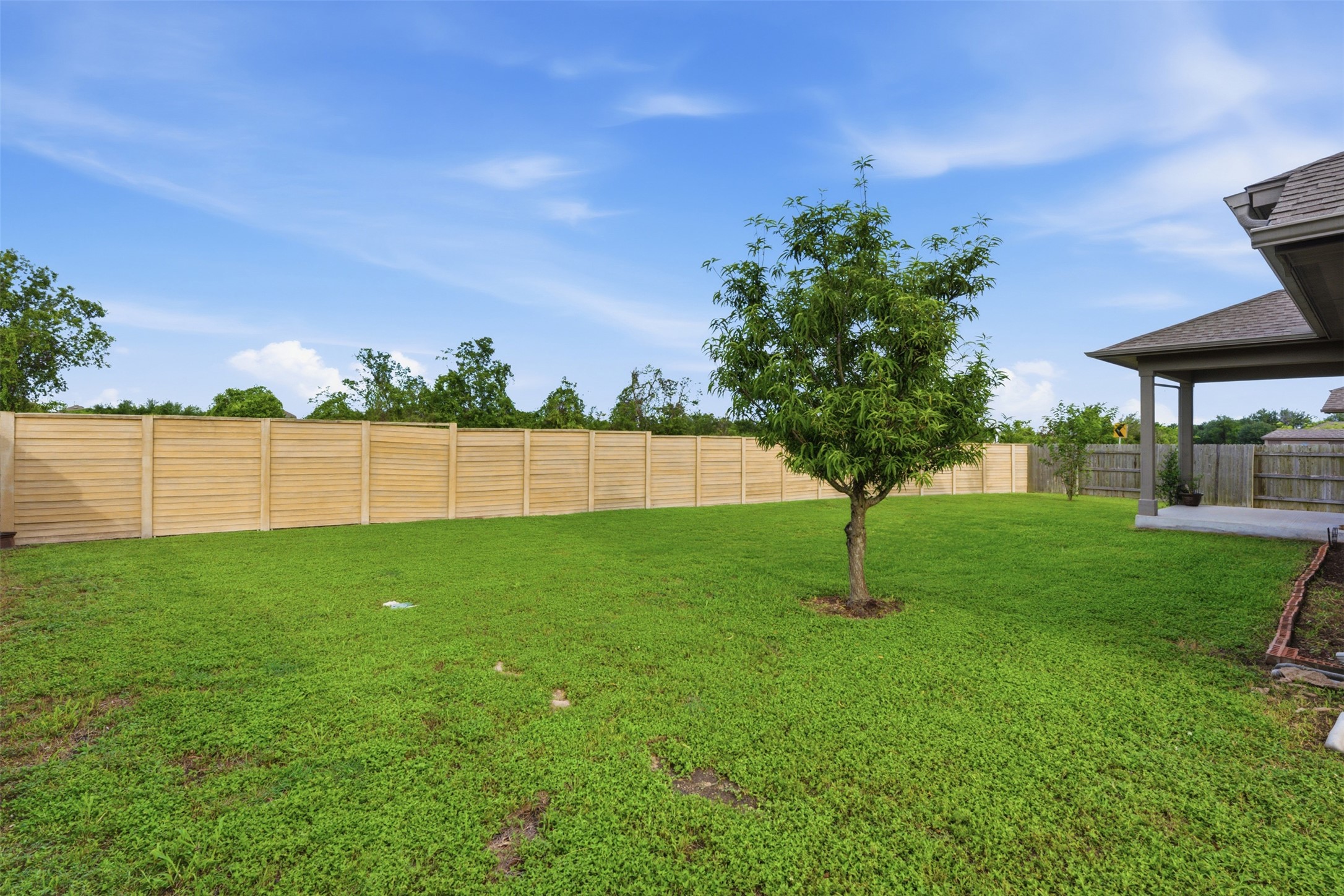 276 Gunnison Way Kyle, TX 78640 - Photo 25 of 28 a view of garden with trees
