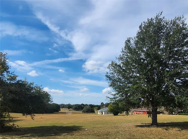 a view of a lake with a tree in the background