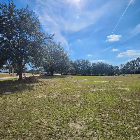 a view of yard with trees