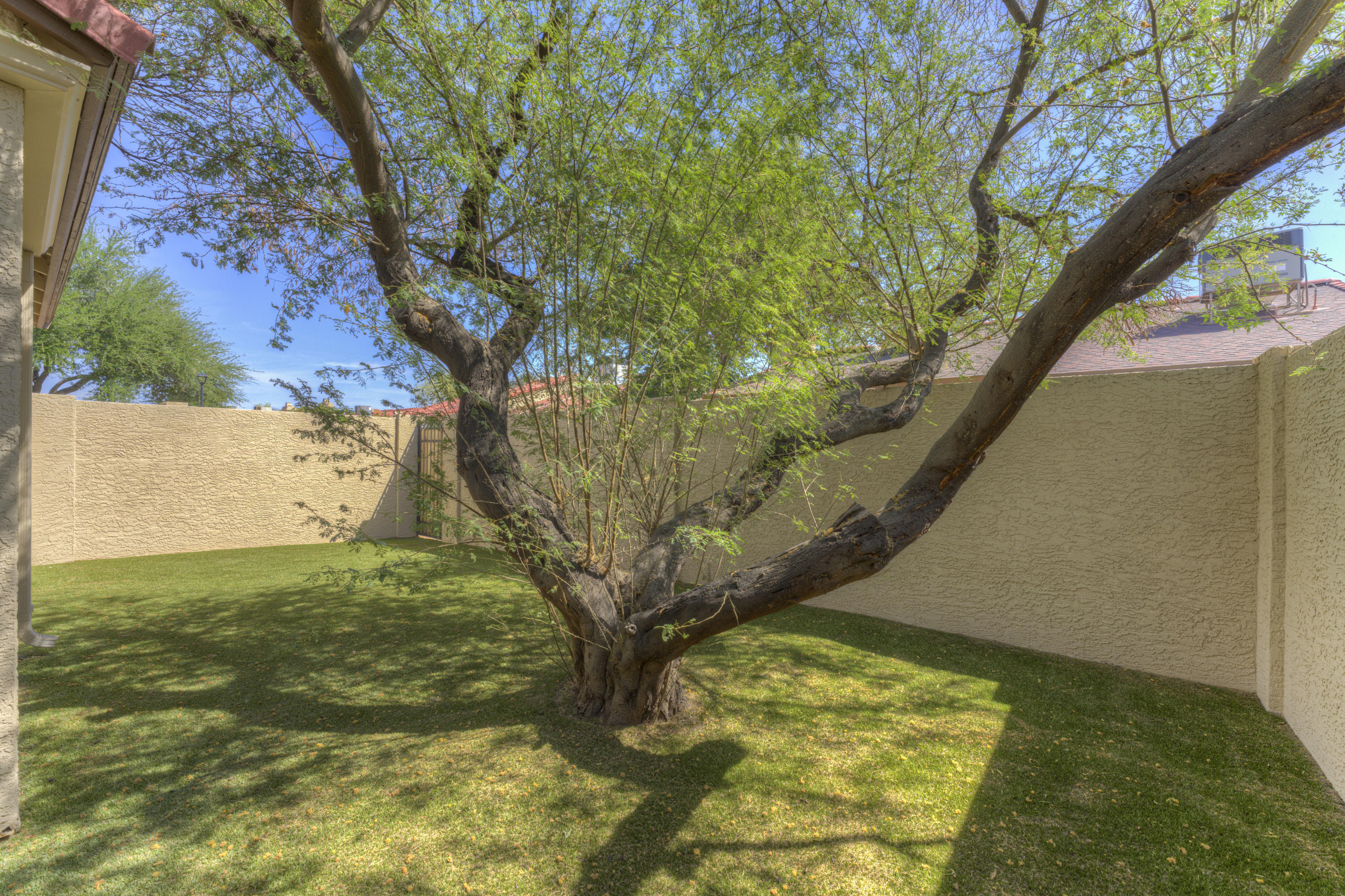 2059 East Brown Road, Unit 76 Mesa, AZ 85213 - Photo 36 of 46 37