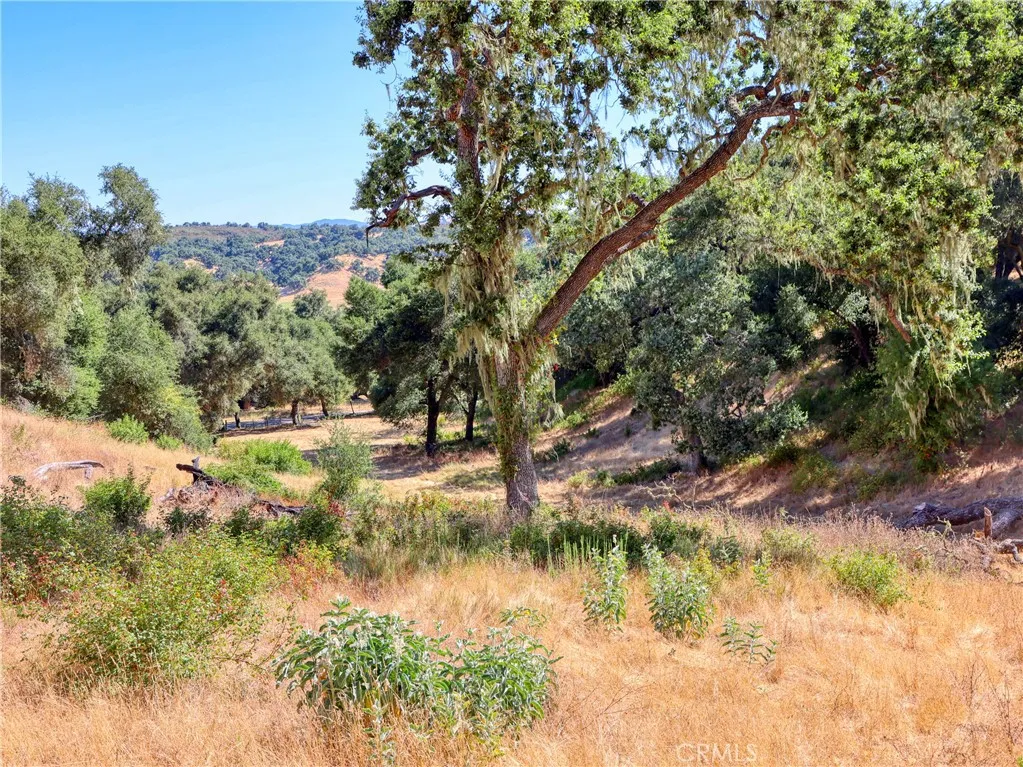0 Huasna Road Arroyo Grande, CA 93420 - Photo 10 of 19 Gallery Image 10