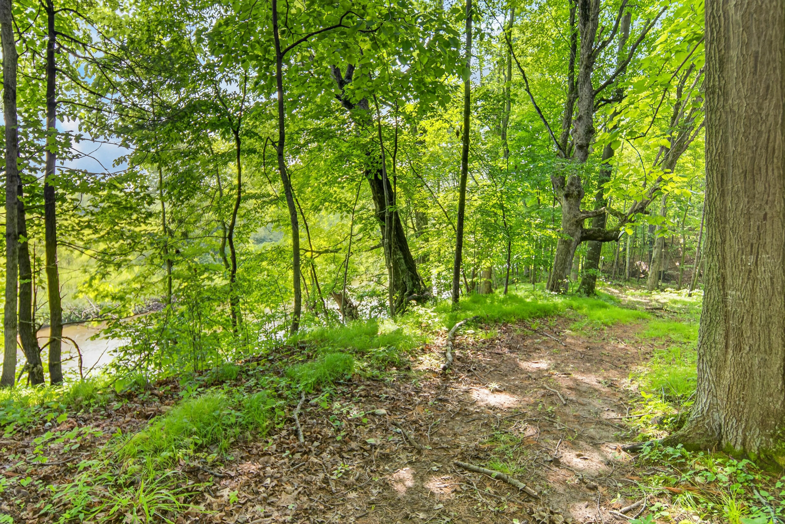 W3741 Sumac Road Sheboygan Falls, WI 53085 - Photo 77 of 83 DSC04914