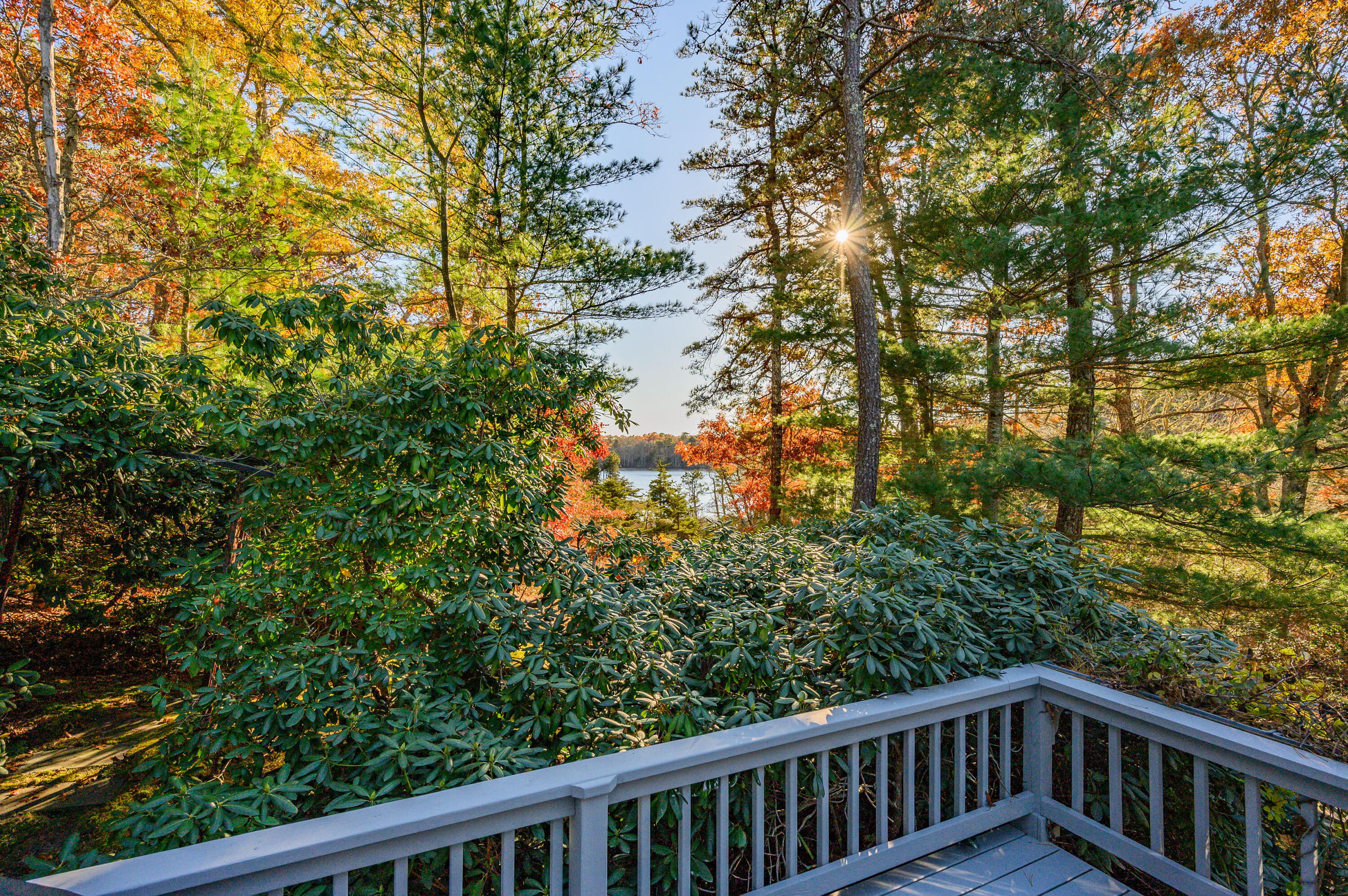 523 Bumps River Road Osterville, MA 02655 - Photo 30 of 49 a view of balcony with a tree