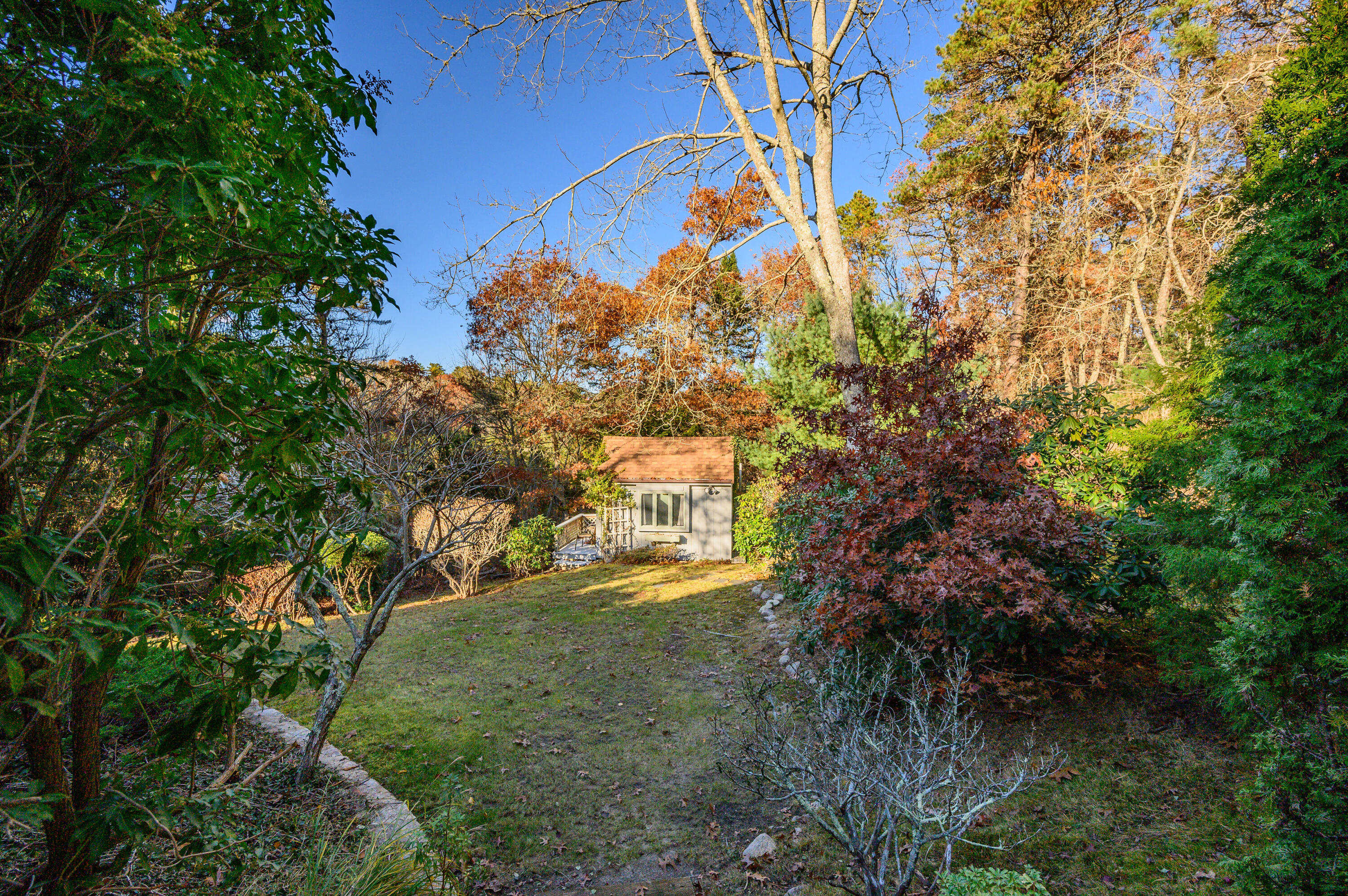 523 Bumps River Road Osterville, MA 02655 - Photo 37 of 49 a view of a big yard with plants and large trees
