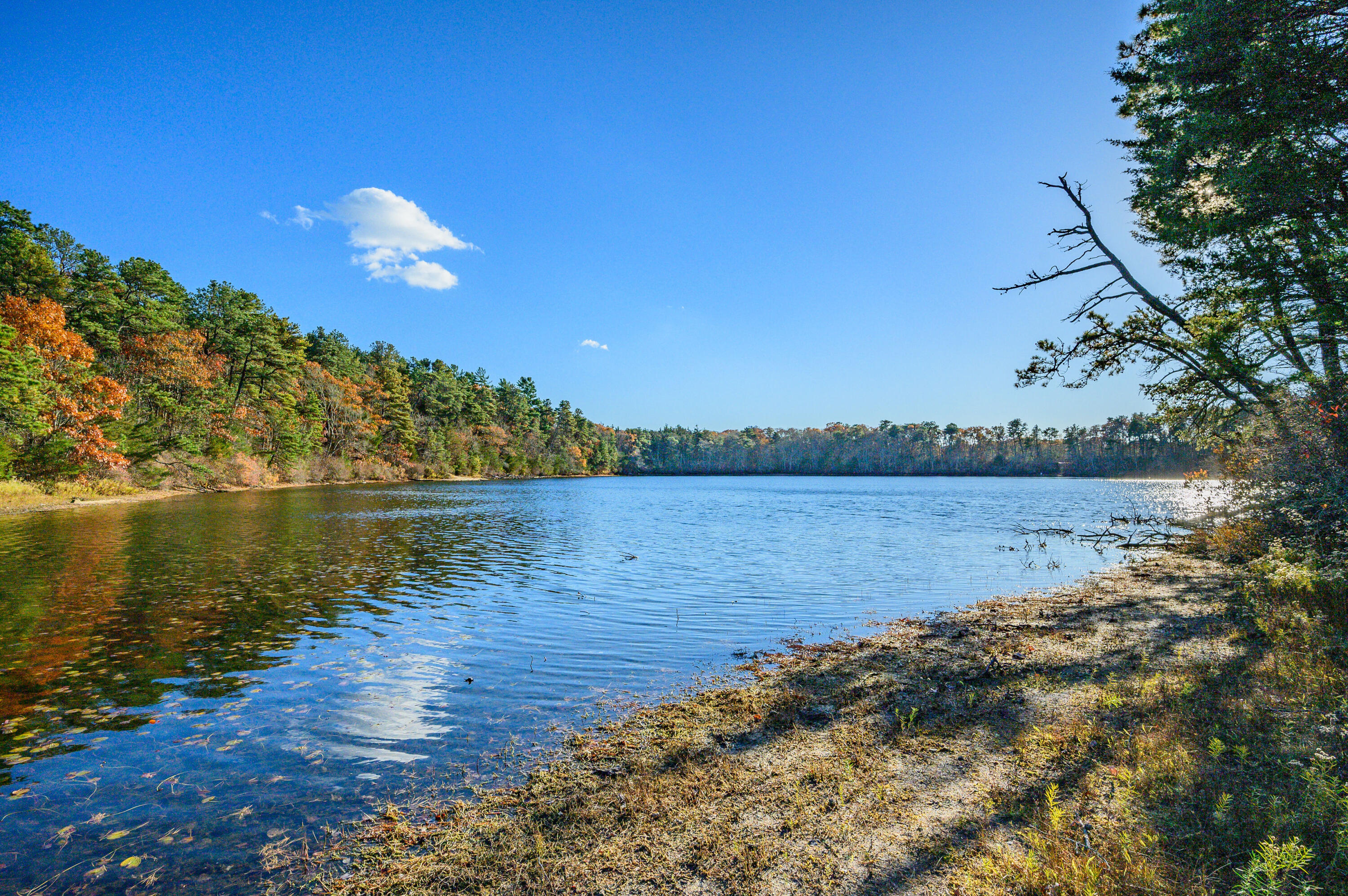 523 Bumps River Road Osterville, MA 02655 - Photo 46 of 49 a view of lake