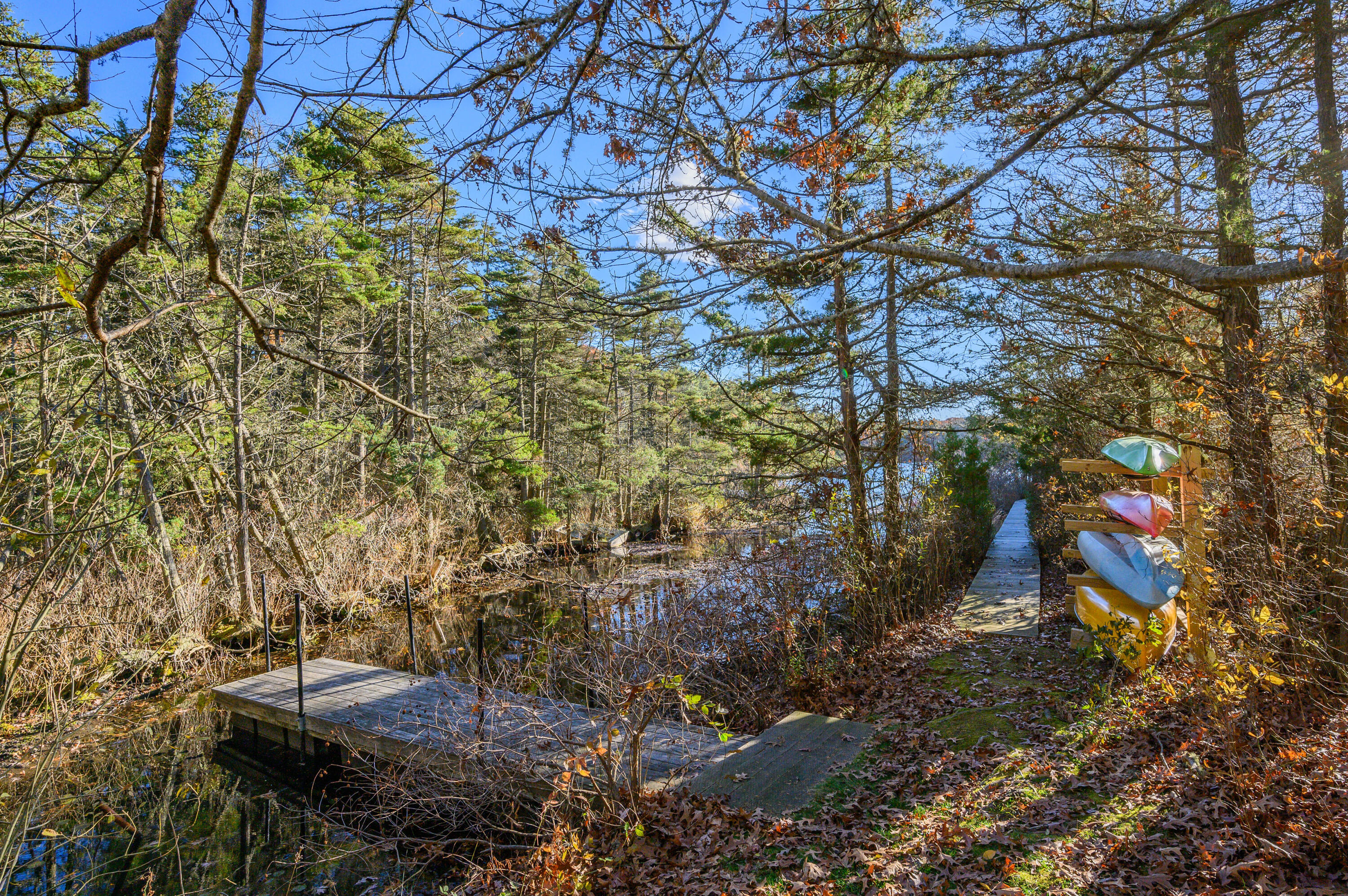 523 Bumps River Road Osterville, MA 02655 - Photo 47 of 49 a view of a yard with plants and large trees