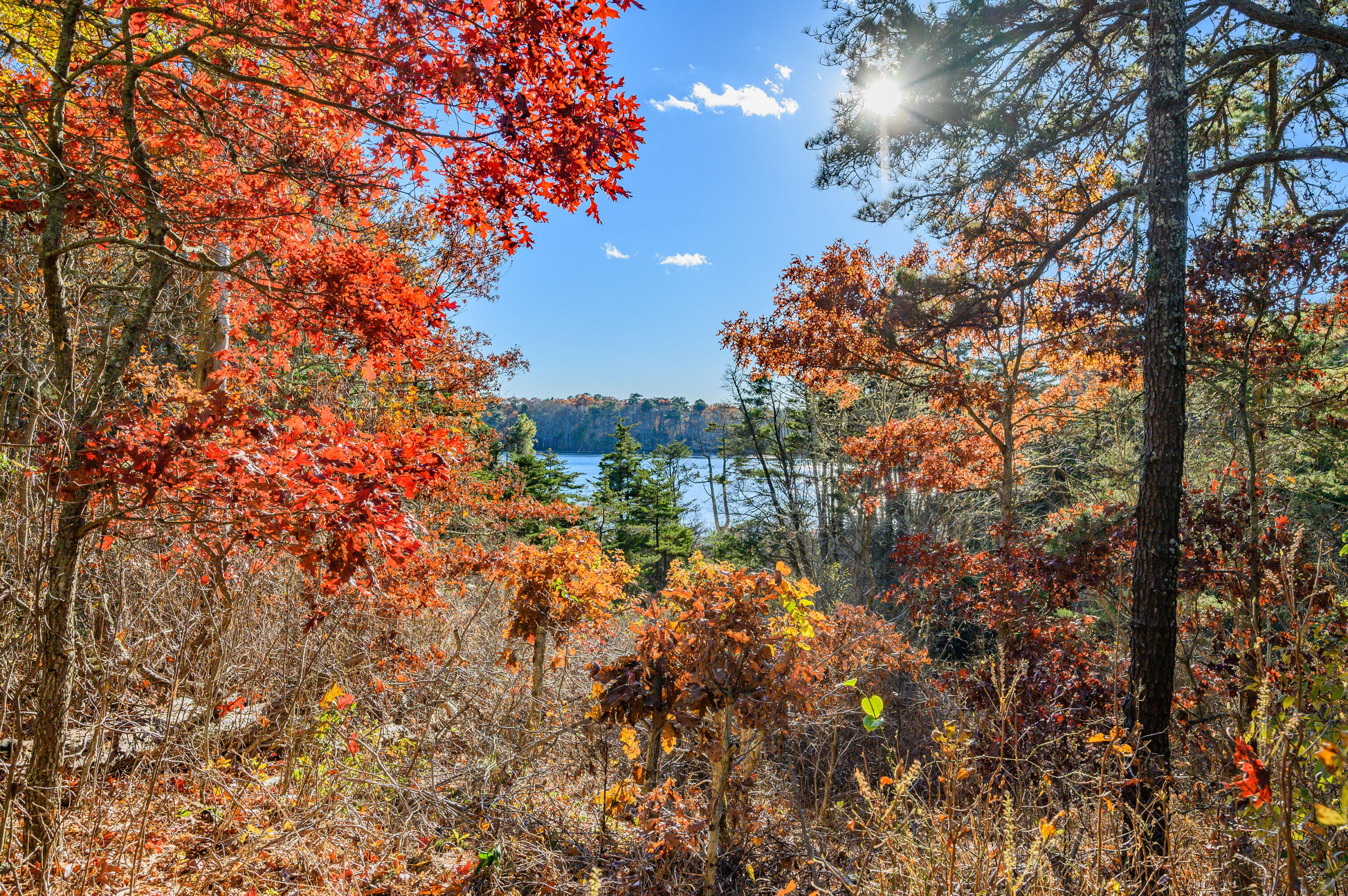 523 Bumps River Road Osterville, MA 02655 - Photo 7 of 49