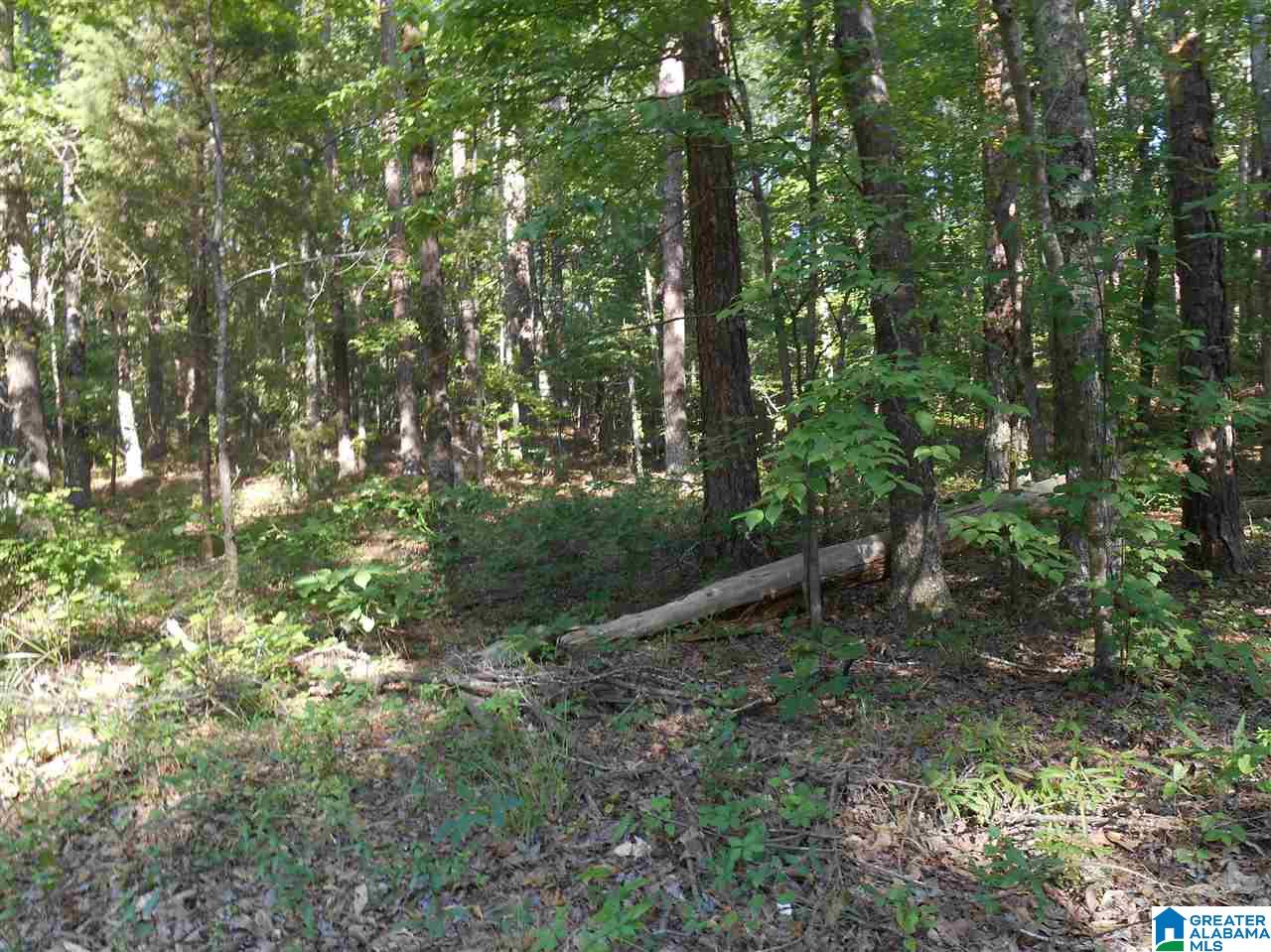 39 Highway Chelsea Al, Unit 2A Chelsea, AL 35043 - Photo 3 of 5