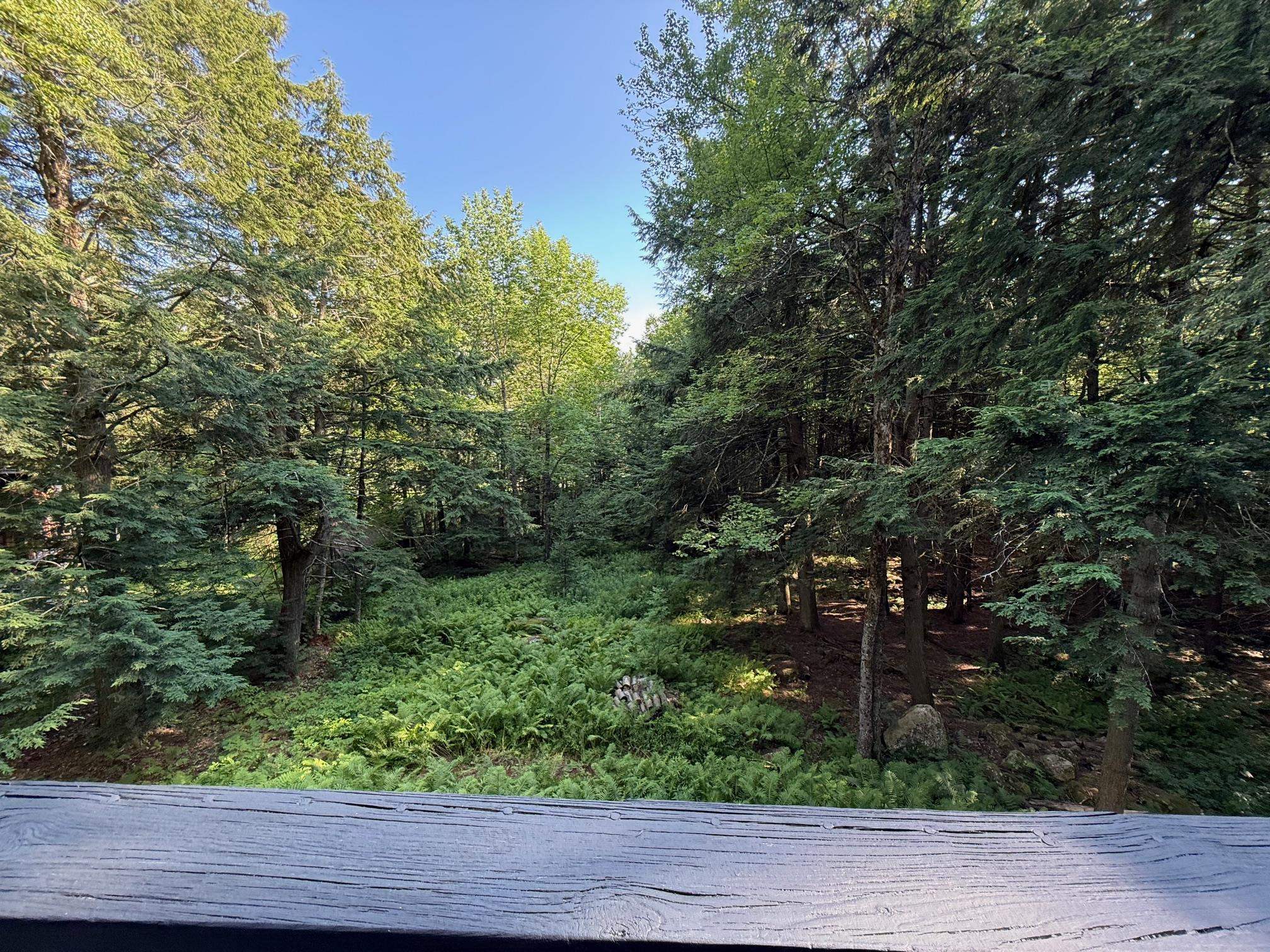 33 Aspen Lane Winhall, VT 05340 - Photo 30 of 35