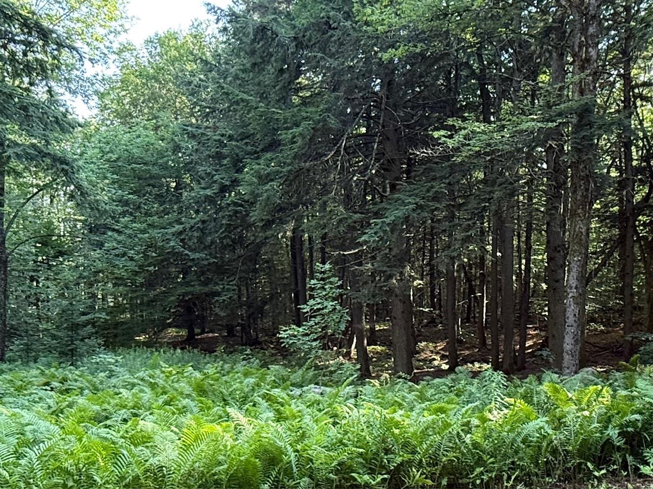 33 Aspen Lane Winhall, VT 05340 - Photo 31 of 35