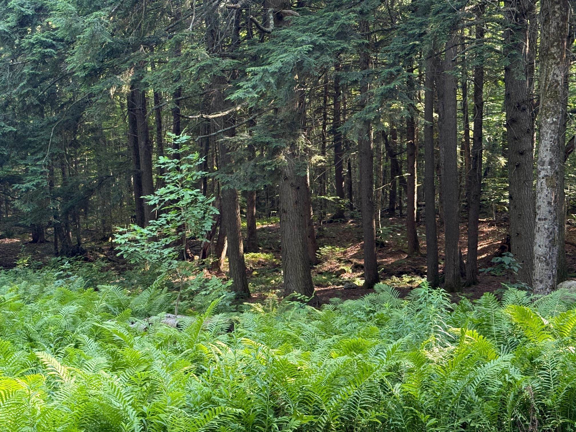 33 Aspen Lane Winhall, VT 05340 - Photo 32 of 35