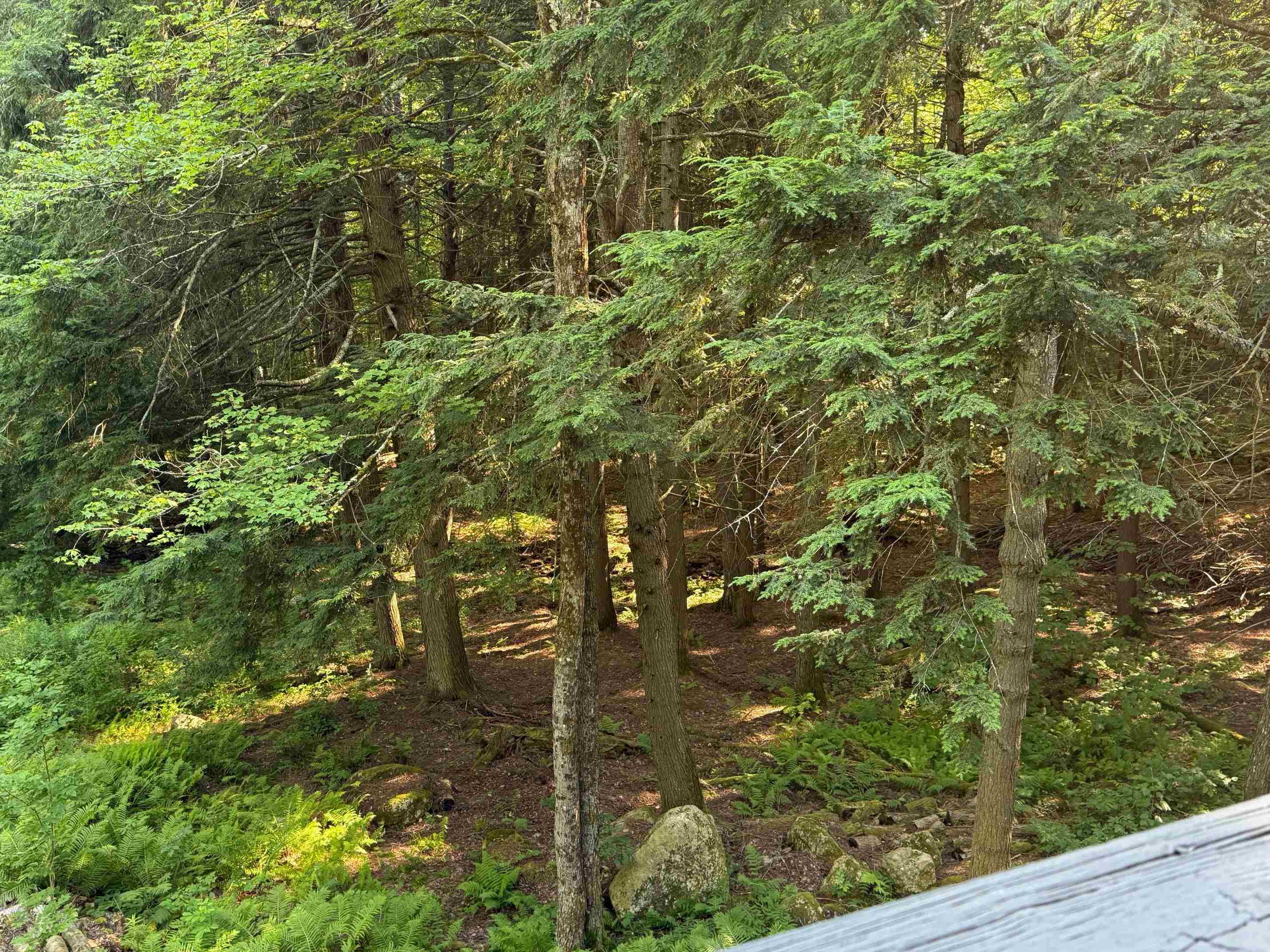 33 Aspen Lane Winhall, VT 05340 - Photo 33 of 35