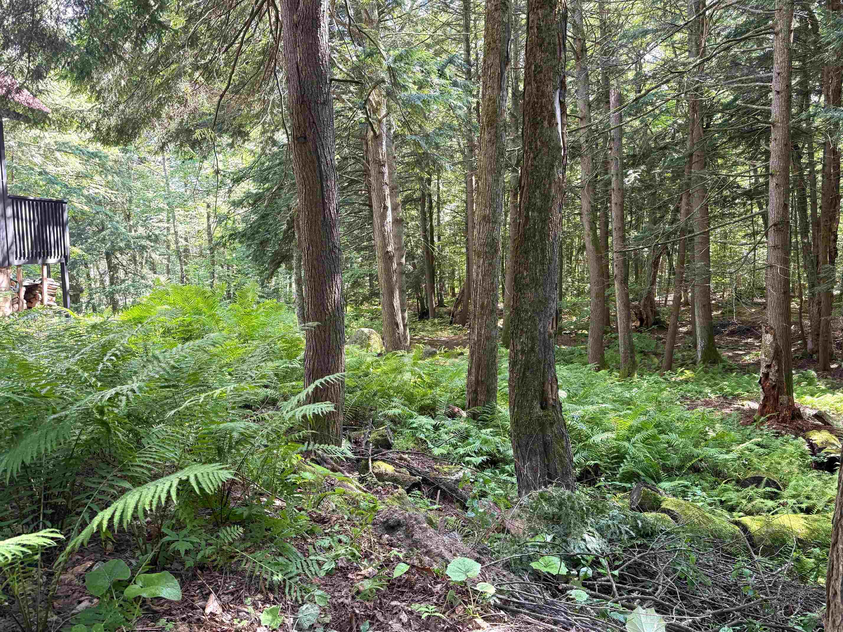 33 Aspen Lane Winhall, VT 05340 - Photo 34 of 35