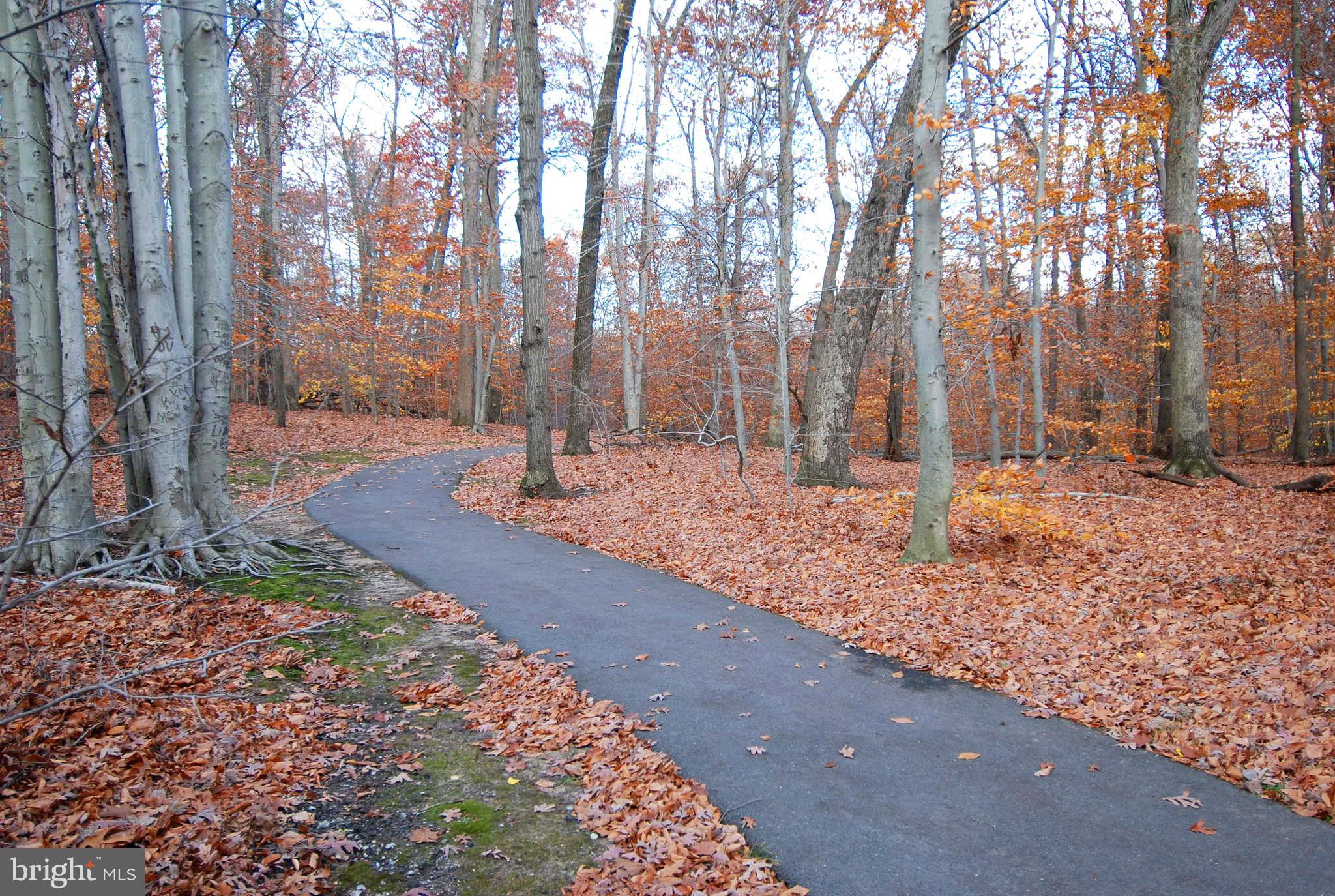 9935 Mallard Drive Laurel, MD 20708 - Photo 38 of 40 Community Trails