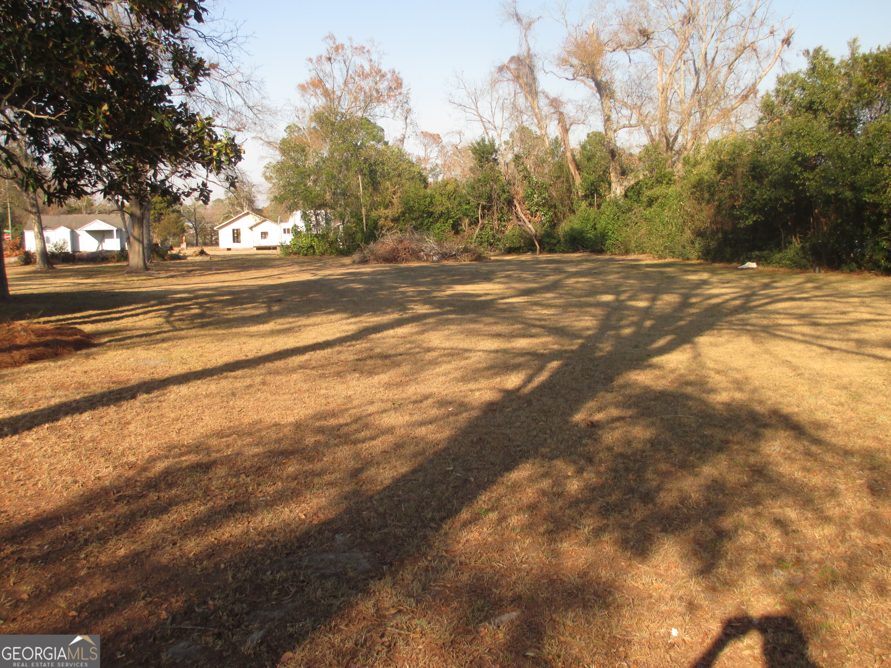 390 Bay Street Baxley, GA 31513 - Photo 5 of 24