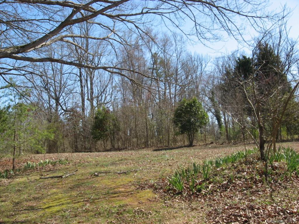 1065 Turkey Creek Ridge Road York, SC 29745 - Photo 3 of 4 a view of a yard with trees