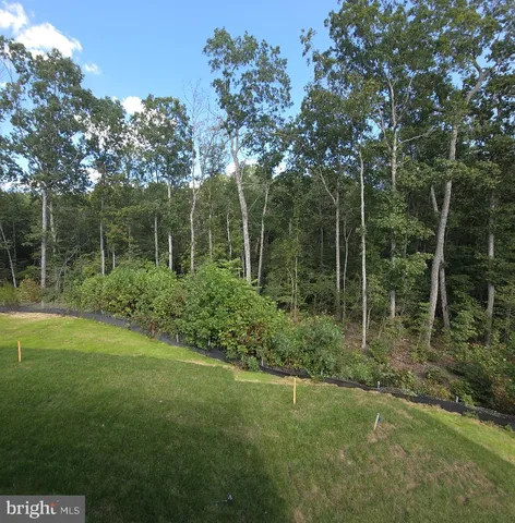 a view of backyard with green space