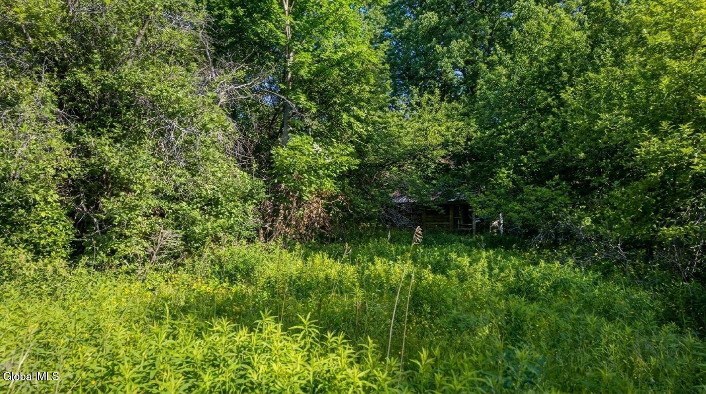 171 Rossman Hill Road Summit, NY 12175 - Photo 46 of 54 171-Rossman-Hill-Rd-Summit-Exterior (28)