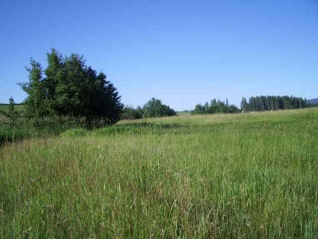 31021 North Spotted Road Deer Park, WA 99006 - Photo 7 of 9 Gallery Image 7