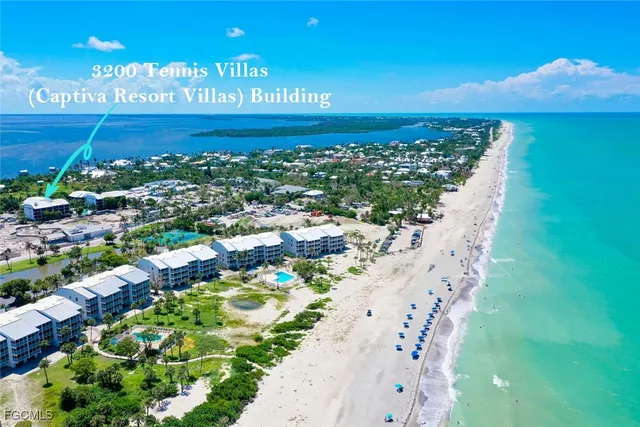 a view of a garden with palm trees