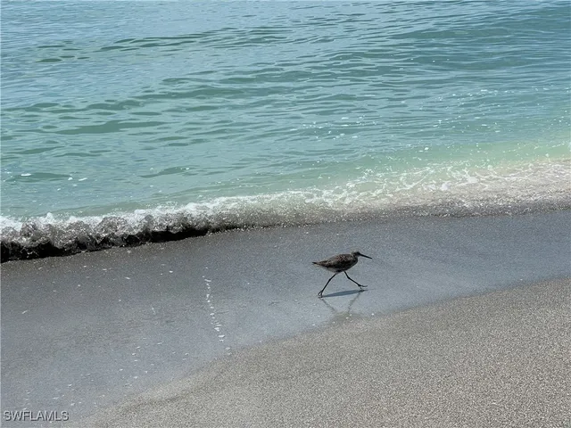 a view of beach and ocean