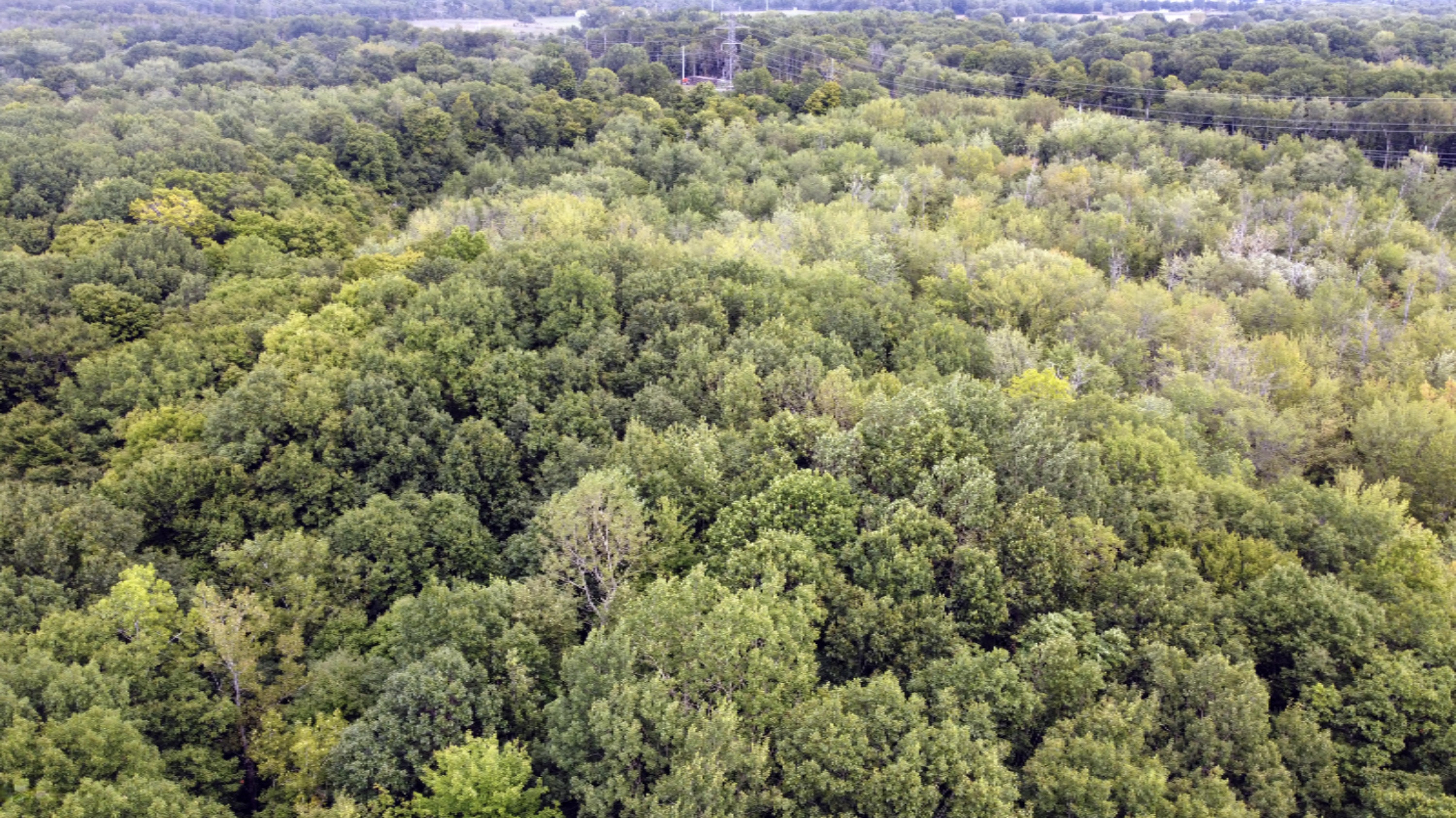 A Spring Hill Road Coloma, MI 49038 - Photo 3 of 29 3p