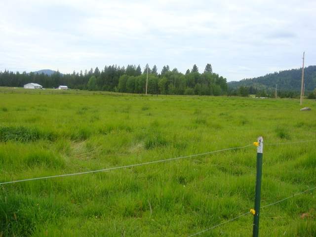 4674 Price Road Clayton, WA 99110 - Photo 9 of 9